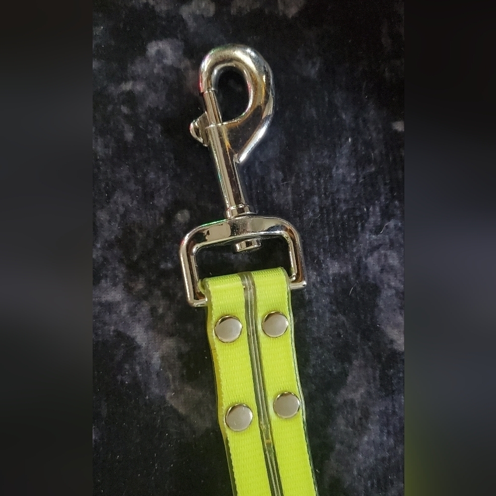Light Up Leash and Collar with 3 Modes, USB charger Included - Picture 6 of 8